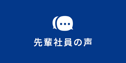 先輩社員の声